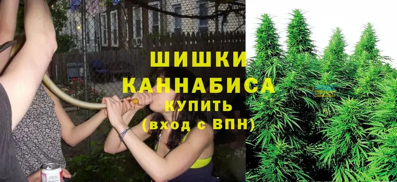 МАРИХУАНА LSD WEED  OMG зеркало  Покровск  наркота 